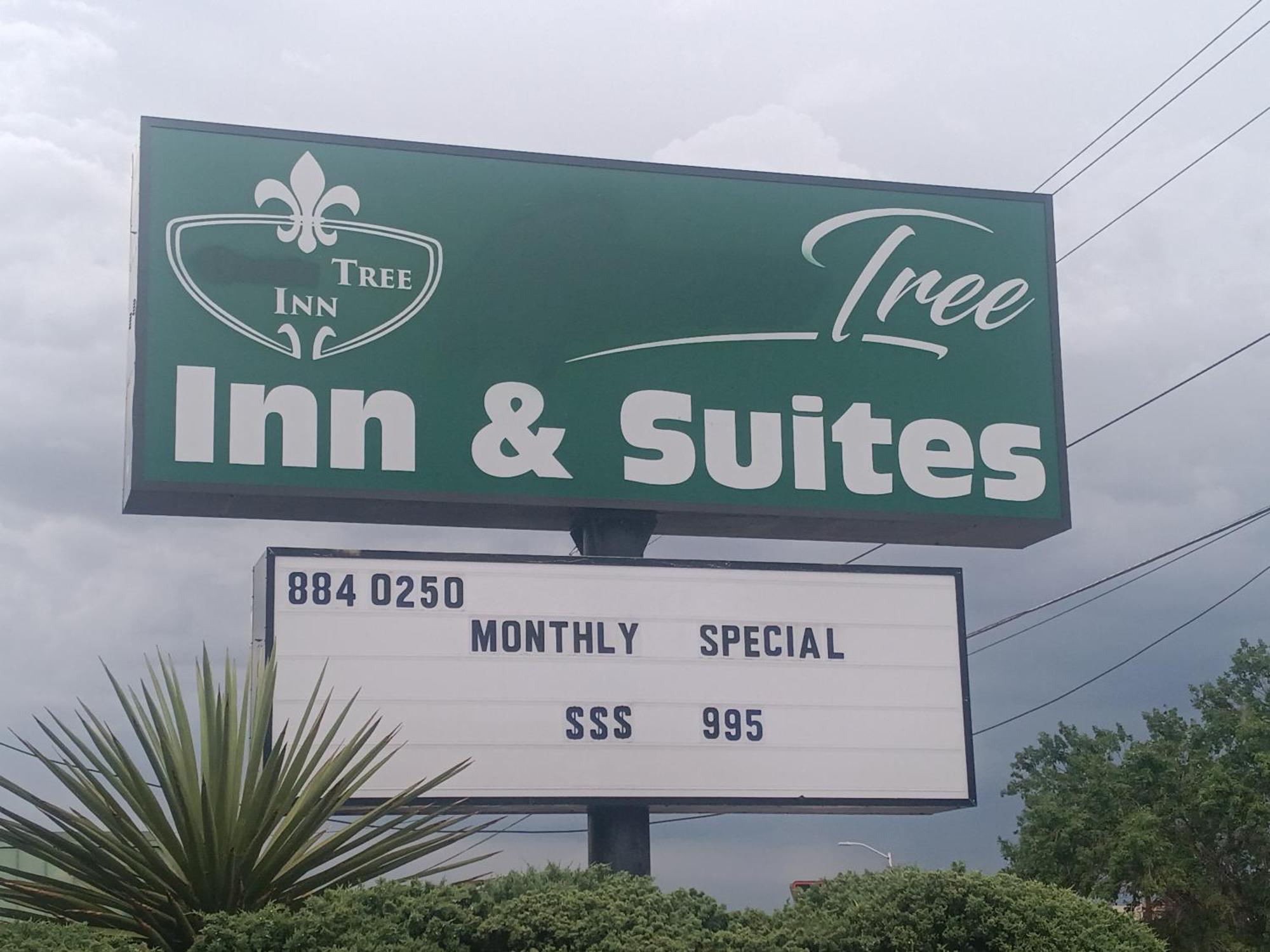 Tree Inn & Suites Albuquerque Exterior foto